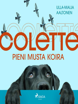 cover image of Colette, pieni musta koira